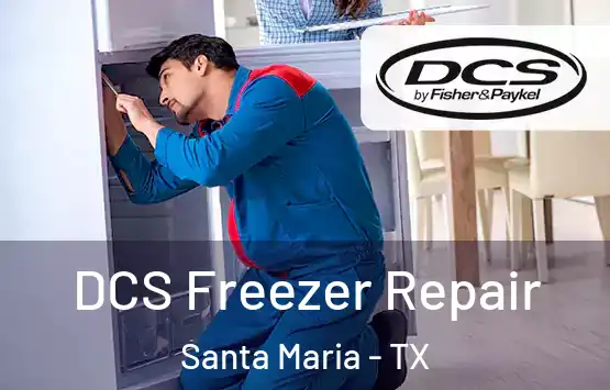  DCS Freezer Repair Santa Maria - TX