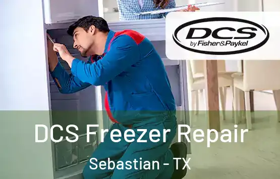  DCS Freezer Repair Sebastian - TX