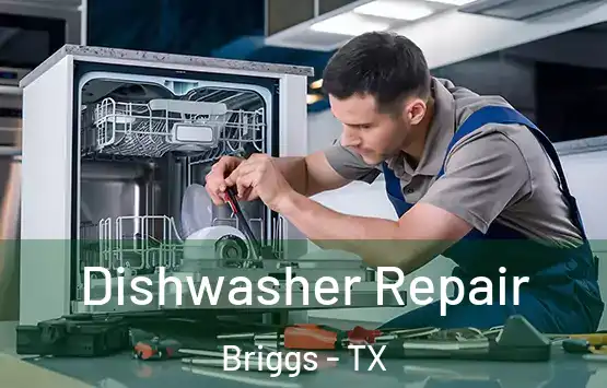  Dishwasher Repair Briggs - TX