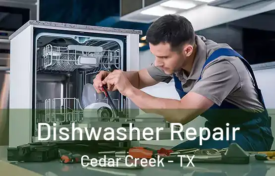  Dishwasher Repair Cedar Creek - TX