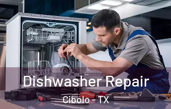  Dishwasher Repair Cibolo - TX
