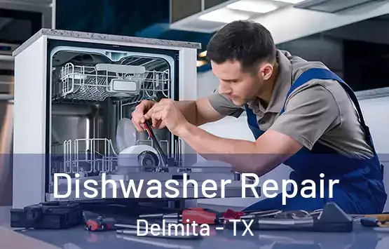  Dishwasher Repair Delmita - TX