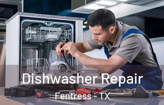  Dishwasher Repair Fentress - TX