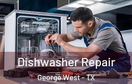  Dishwasher Repair George West - TX