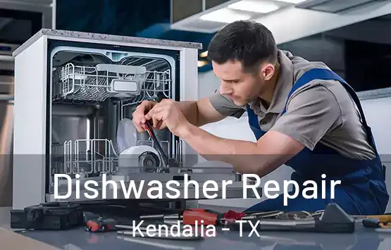  Dishwasher Repair Kendalia - TX