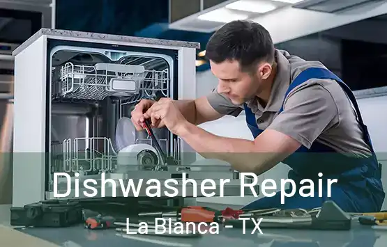  Dishwasher Repair La Blanca - TX