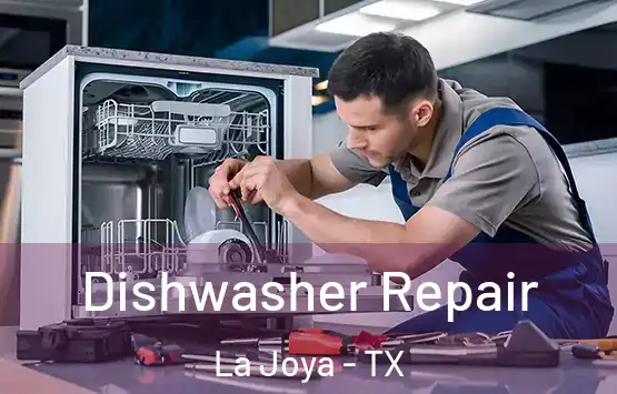  Dishwasher Repair La Joya - TX
