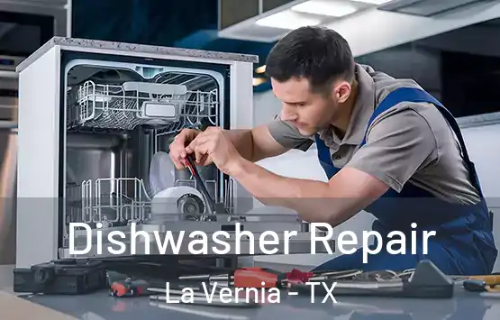  Dishwasher Repair La Vernia - TX