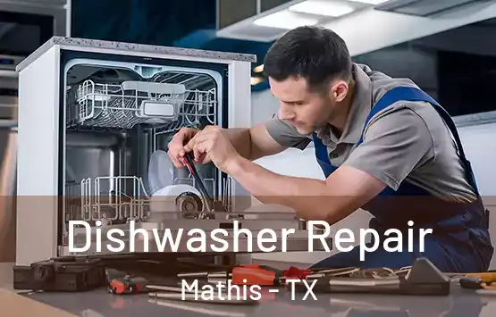  Dishwasher Repair Mathis - TX