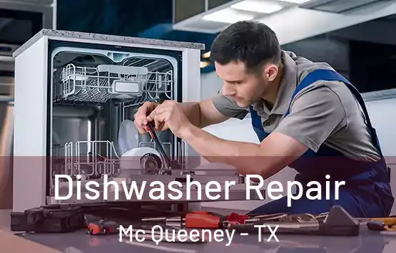  Dishwasher Repair Mc Queeney - TX