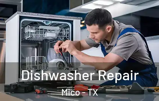  Dishwasher Repair Mico - TX