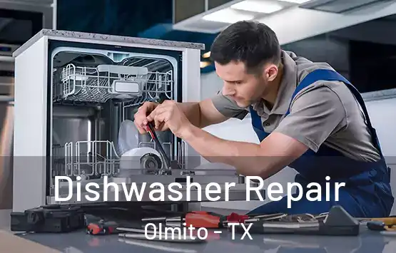  Dishwasher Repair Olmito - TX