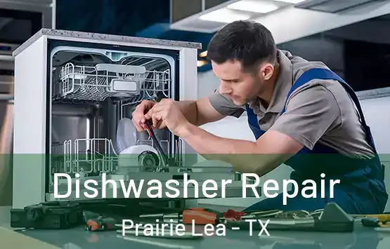  Dishwasher Repair Prairie Lea - TX