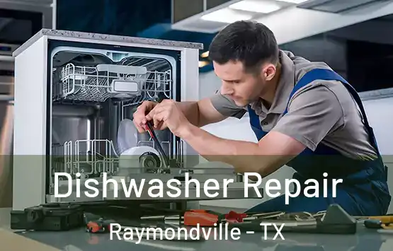  Dishwasher Repair Raymondville - TX