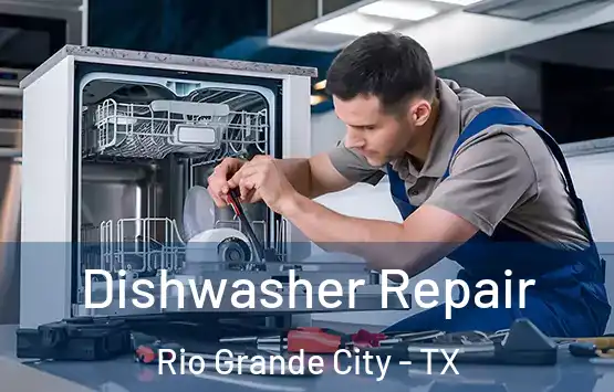  Dishwasher Repair Rio Grande City - TX