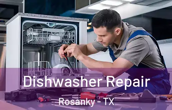  Dishwasher Repair Rosanky - TX