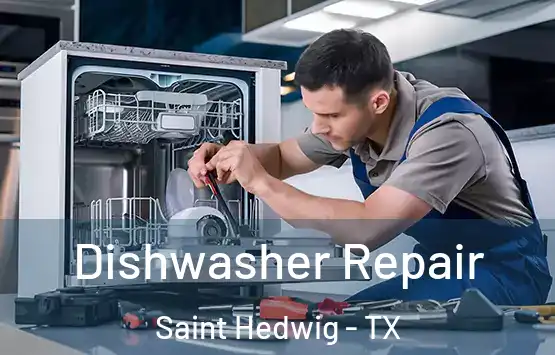 Dishwasher Repair Saint Hedwig - TX
