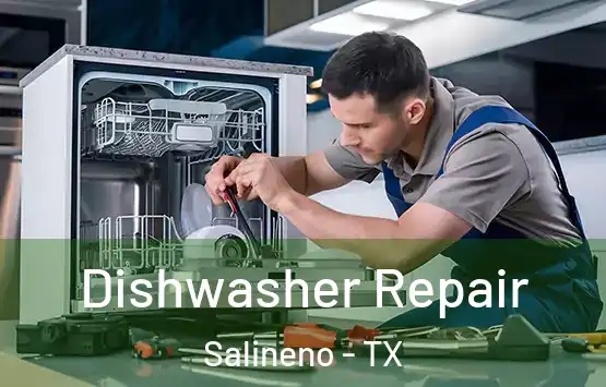  Dishwasher Repair Salineno - TX