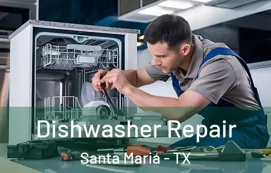  Dishwasher Repair Santa Maria - TX