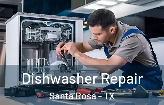  Dishwasher Repair Santa Rosa - TX
