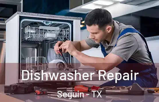  Dishwasher Repair Seguin - TX