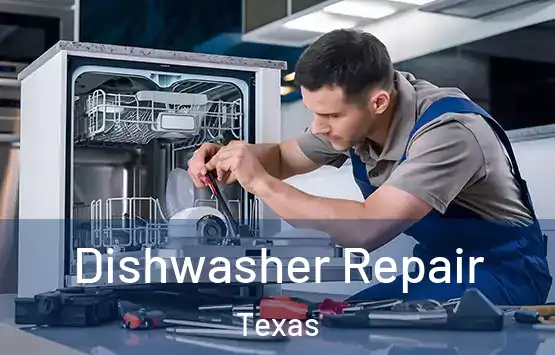  Dishwasher Repair Texas