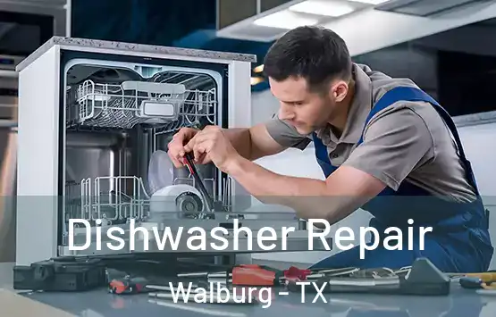  Dishwasher Repair Walburg - TX