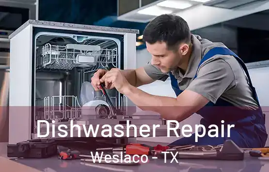  Dishwasher Repair Weslaco - TX