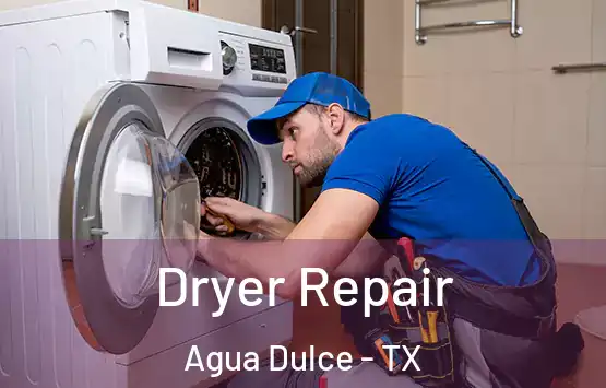  Dryer Repair Agua Dulce - TX