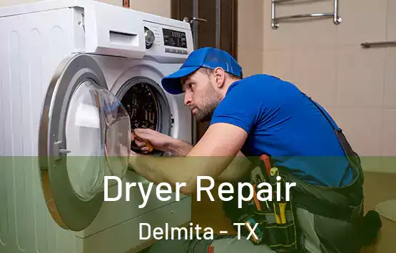  Dryer Repair Delmita - TX