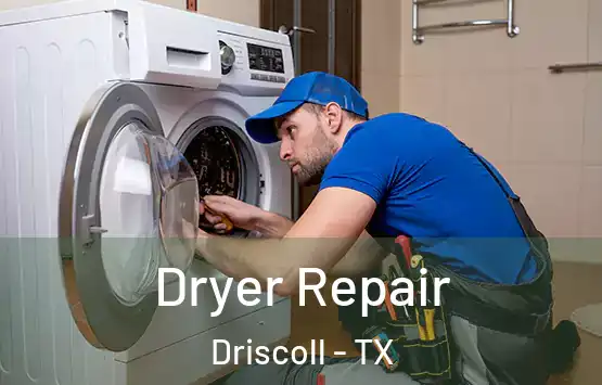  Dryer Repair Driscoll - TX