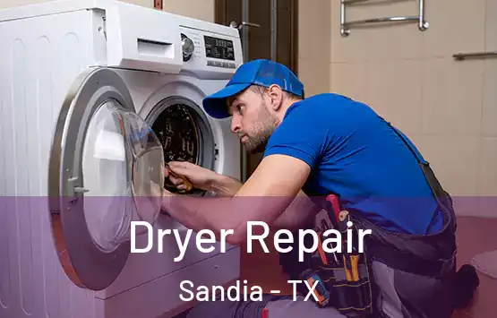  Dryer Repair Sandia - TX