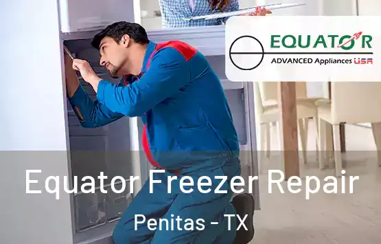  Equator Freezer Repair Penitas - TX