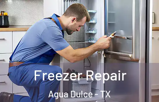  Freezer Repair Agua Dulce - TX