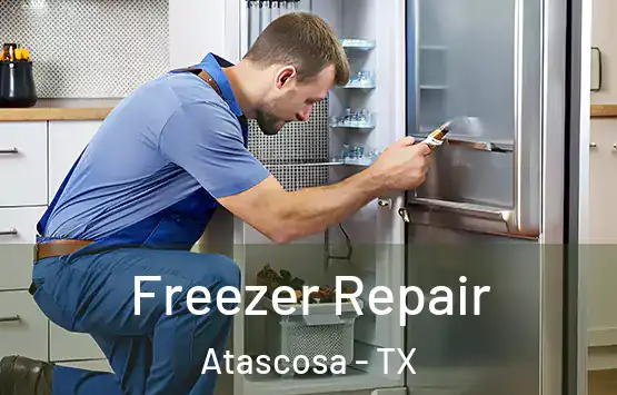  Freezer Repair Atascosa - TX