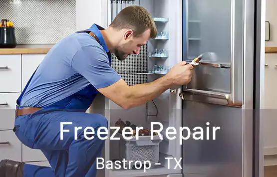  Freezer Repair Bastrop - TX
