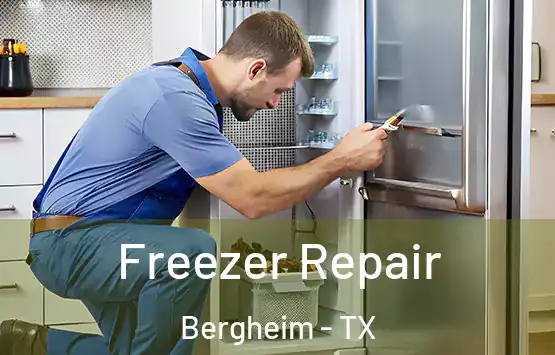  Freezer Repair Bergheim - TX