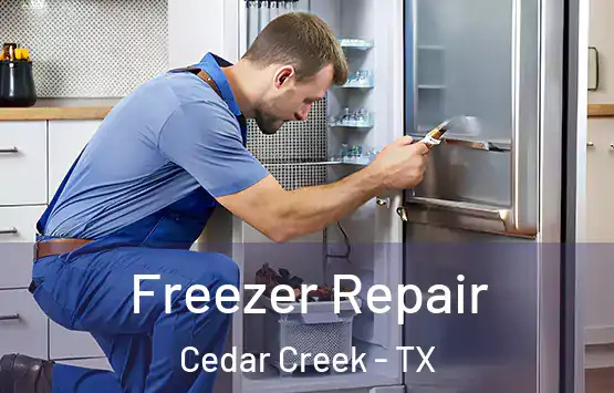  Freezer Repair Cedar Creek - TX
