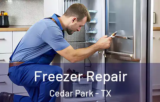  Freezer Repair Cedar Park - TX