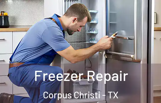  Freezer Repair Corpus Christi - TX