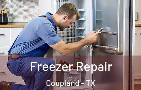  Freezer Repair Coupland - TX