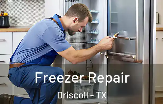  Freezer Repair Driscoll - TX