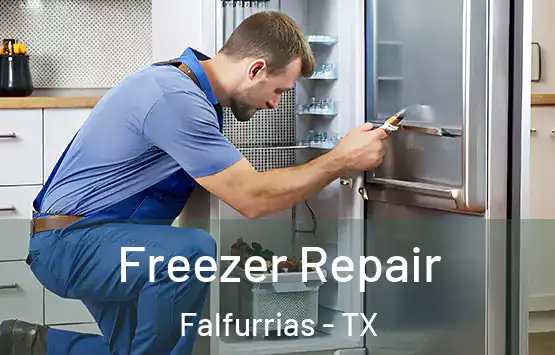 Freezer Repair Falfurrias - TX