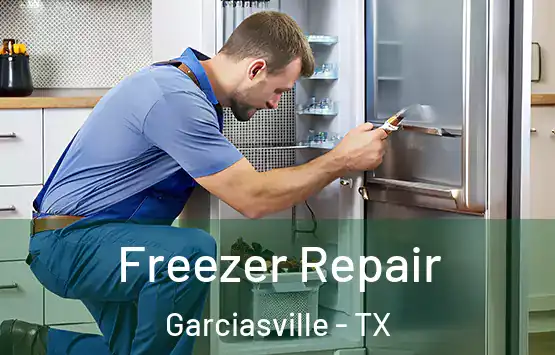  Freezer Repair Garciasville - TX