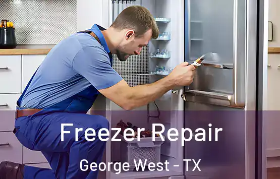  Freezer Repair George West - TX