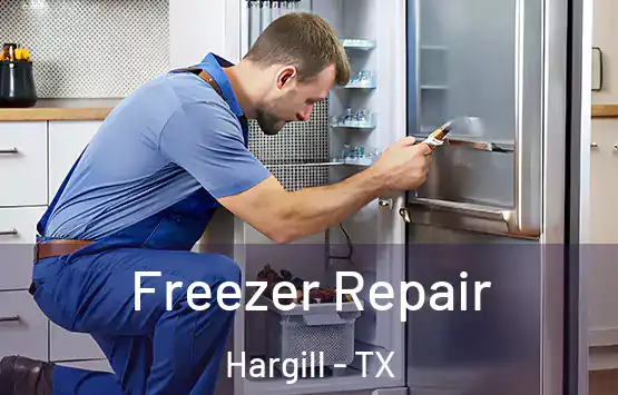  Freezer Repair Hargill - TX