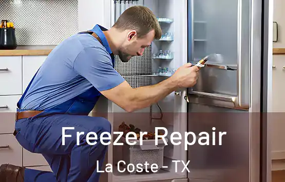 Freezer Repair La Coste - TX