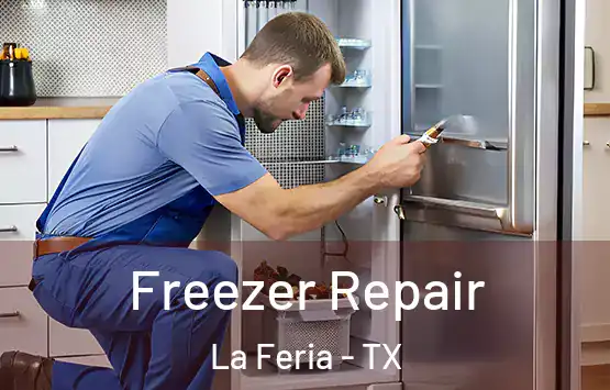  Freezer Repair La Feria - TX