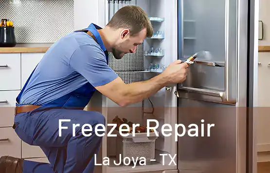  Freezer Repair La Joya - TX