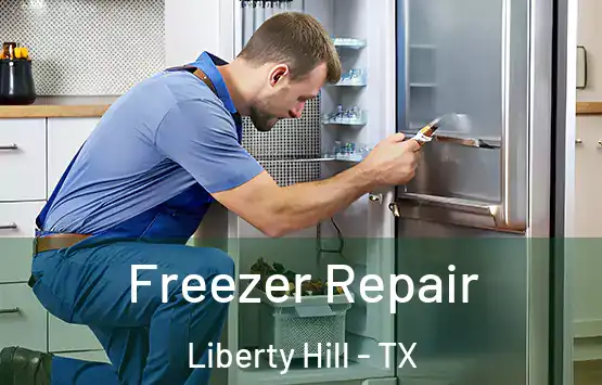  Freezer Repair Liberty Hill - TX